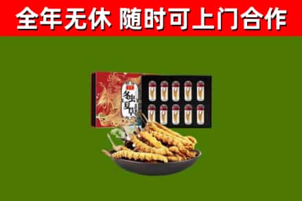 上海市烟酒回收冬虫夏草礼盒.jpg